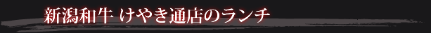 新潟和牛けやき通店のランチメニュー